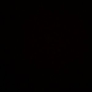 Meet your Posher, Terri